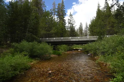 DSC_4390 (Large).JPG